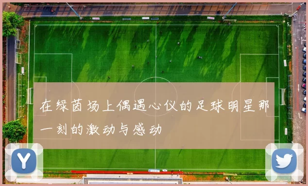 在绿茵场上偶遇心仪的足球明星那一刻的激动与感动