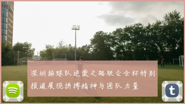 深圳排球队逆袭之路联合会杯特别报道展现拼搏精神与团队力量