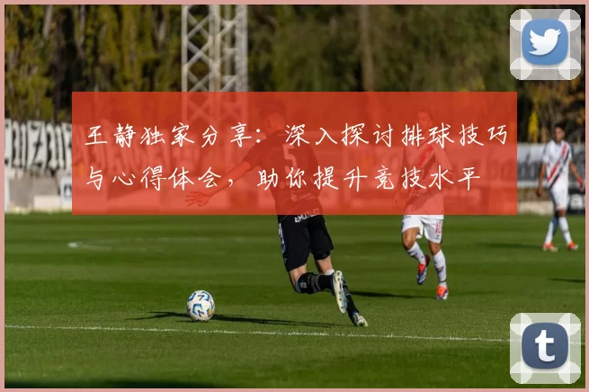 王静独家分享：深入探讨排球技巧与心得体会，助你提升竞技水平