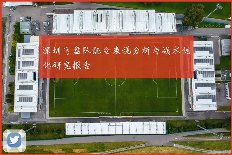 深圳飞盘队配合表现分析与战术优化研究报告