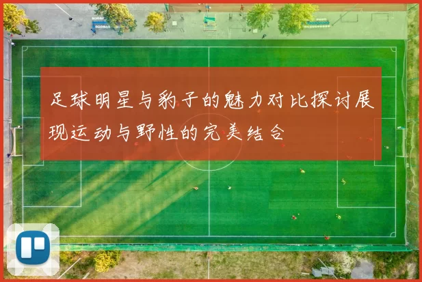 足球明星与豹子的魅力对比探讨展现运动与野性的完美结合