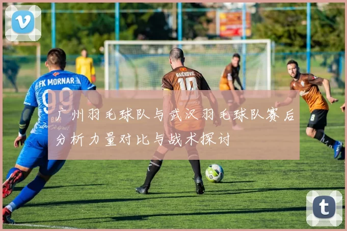 广州羽毛球队与武汉羽毛球队赛后分析力量对比与战术探讨