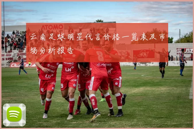 云南足球明星代言价格一览表及市场分析报告
