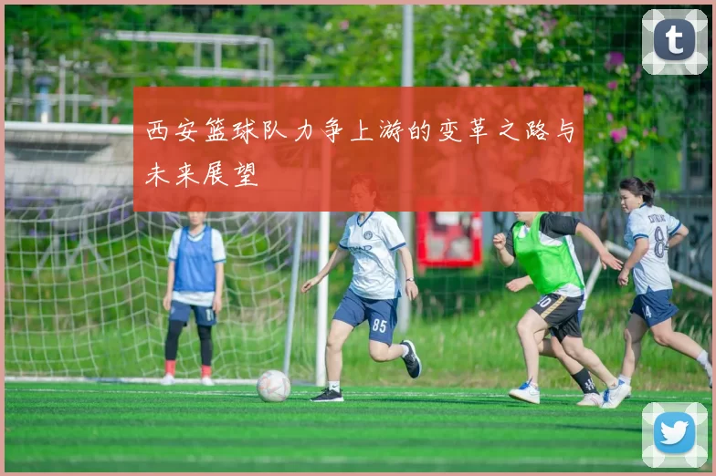 西安篮球队力争上游的变革之路与未来展望