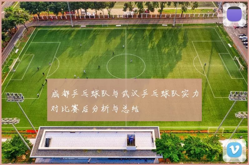 成都乒乓球队与武汉乒乓球队实力对比赛后分析与总结