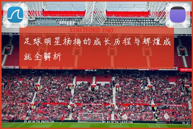 足球明星杨梅的成长历程与辉煌成就全解析