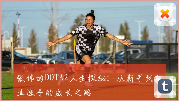 张伟的DOTA2人生探秘：从新手到职业选手的成长之路