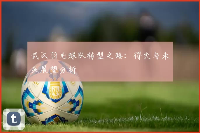 武汉羽毛球队转型之路：得失与未来展望分析