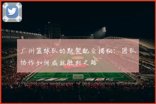 广州篮球队的默契配合揭秘：团队协作如何成就胜利之路