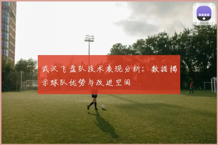 武汉飞盘队技术表现分析：数据揭示球队优势与改进空间