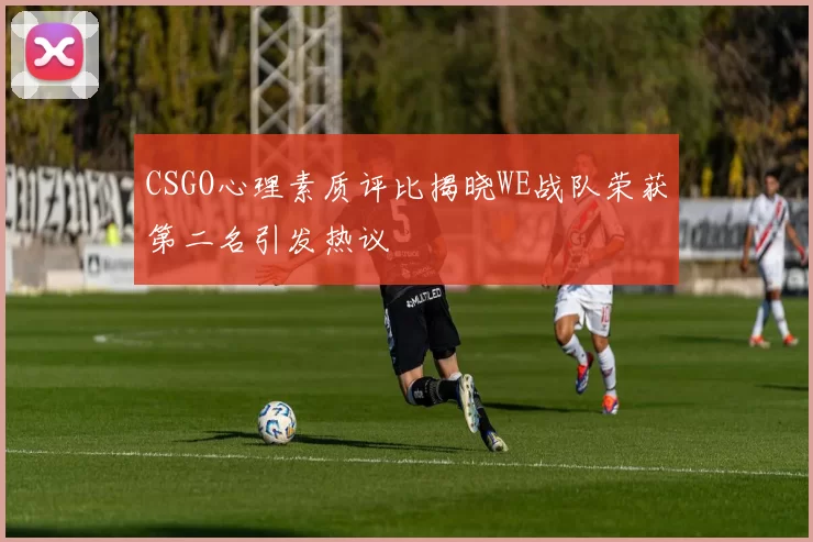 CSGO心理素质评比揭晓WE战队荣获第二名引发热议